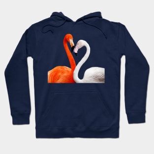 Flamingos Birds Plumage Feathers Beak Colorful Hoodie